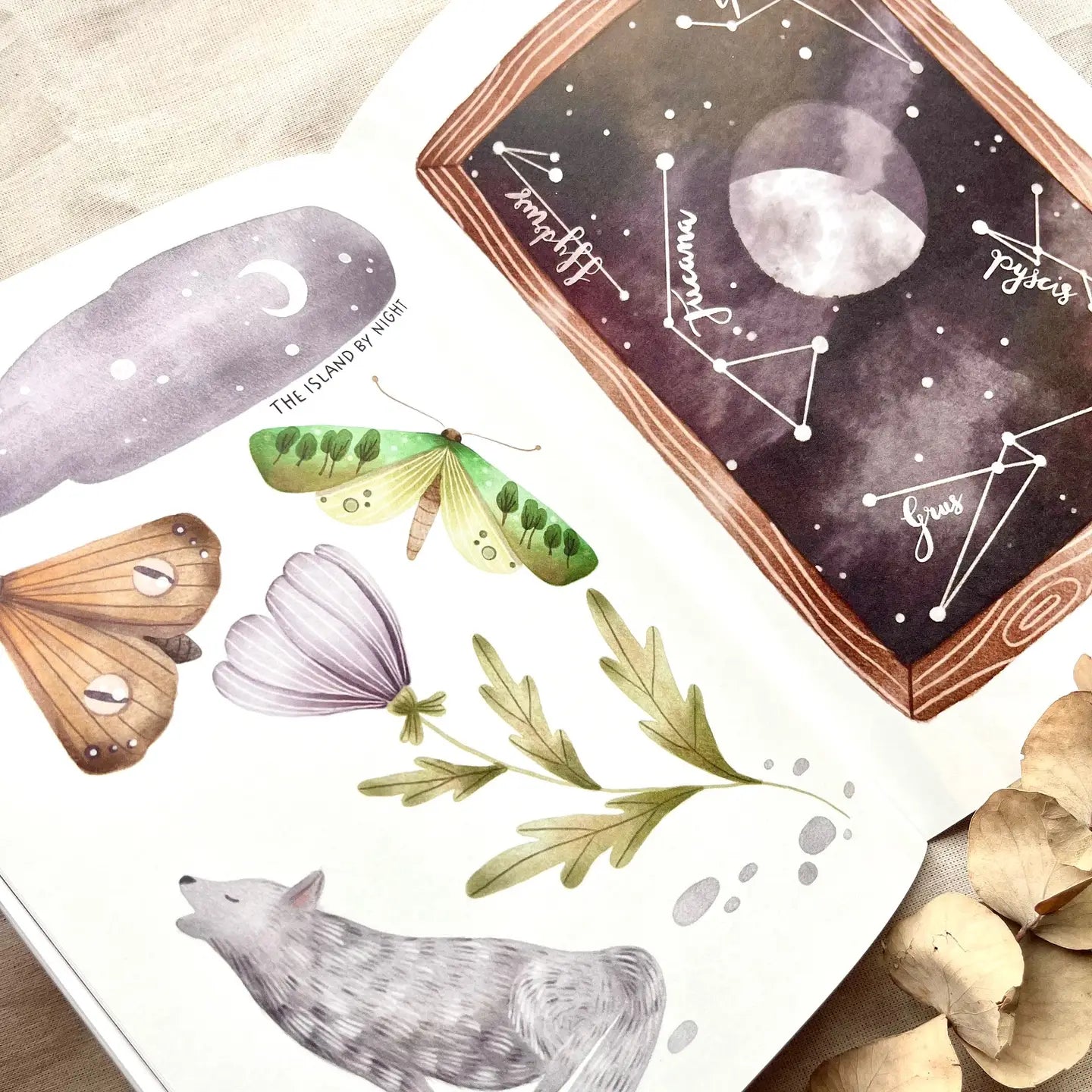 Nikki Dotti Zine - Island in the wind