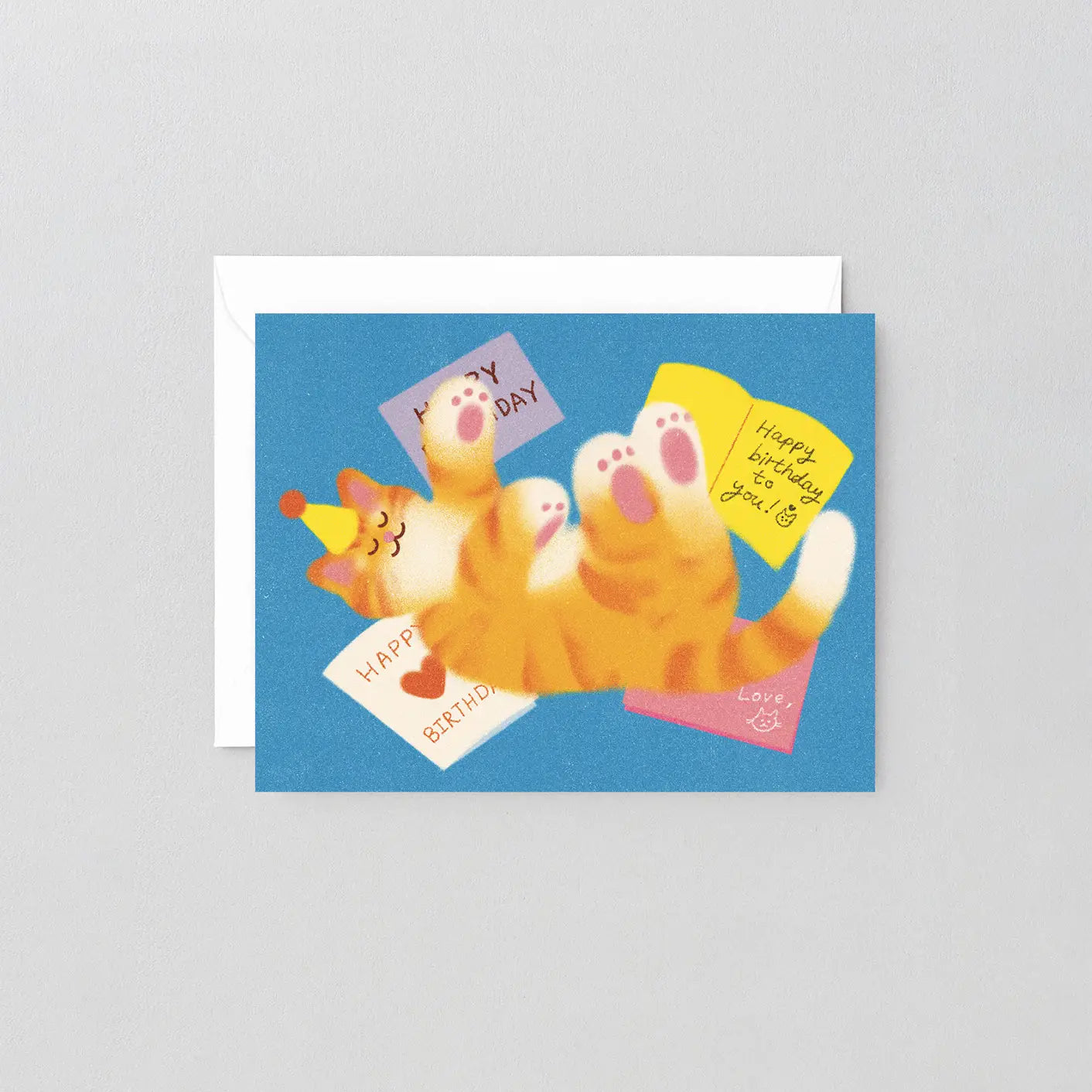 Verjaardagskaart Cat Mail - Wrap