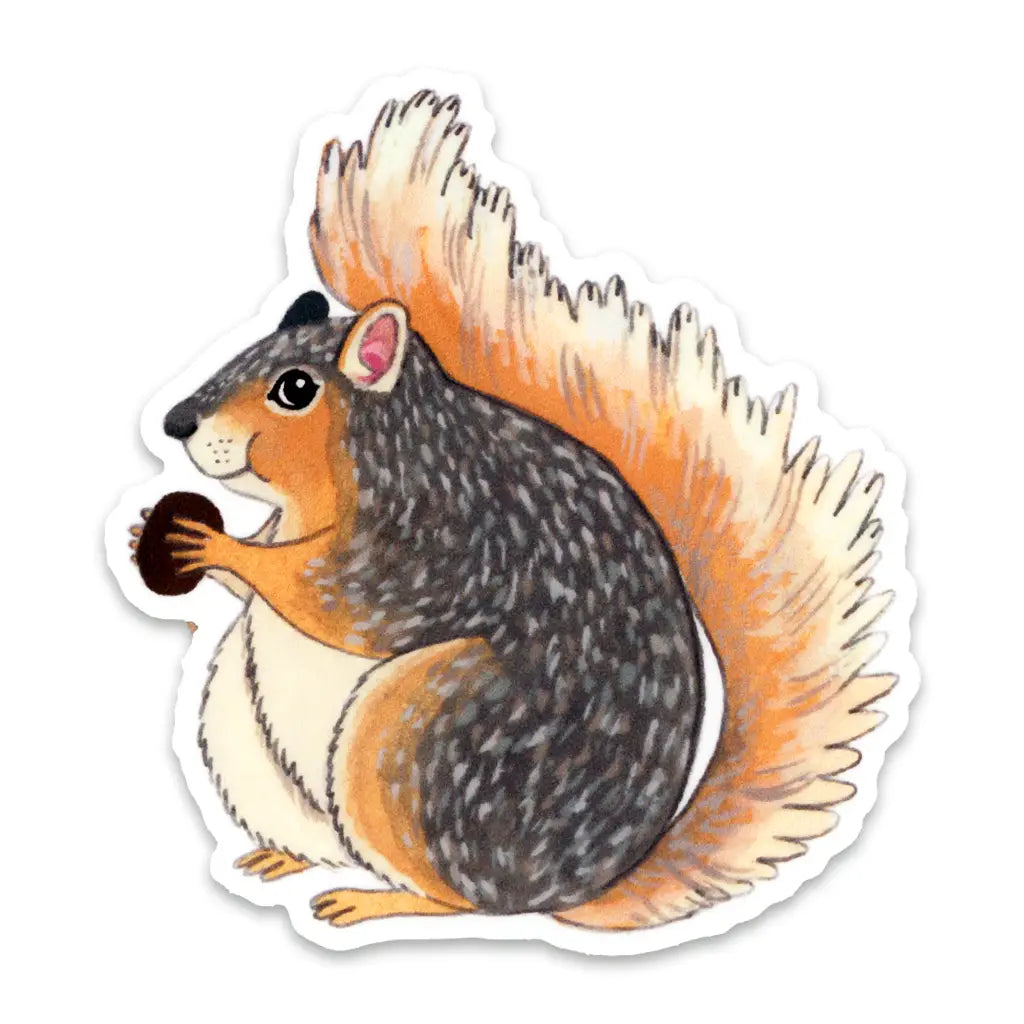 Eekhoorn - Sticker