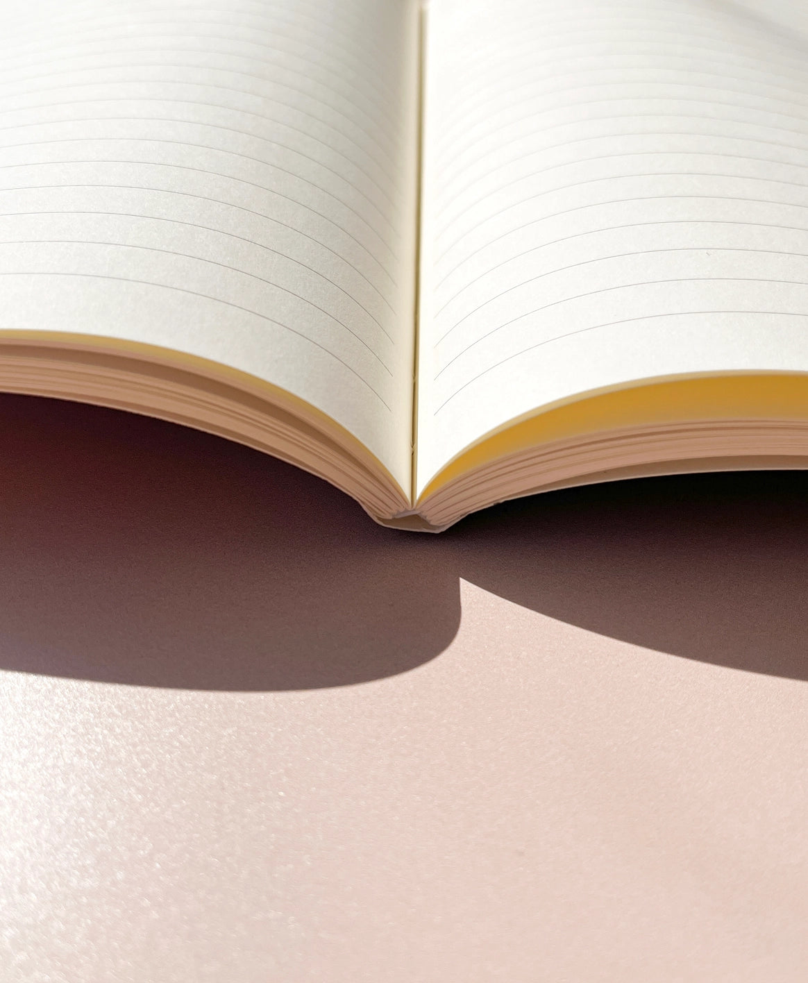 Fin Studio Undated Planner - Paloma Notebook (Lined)