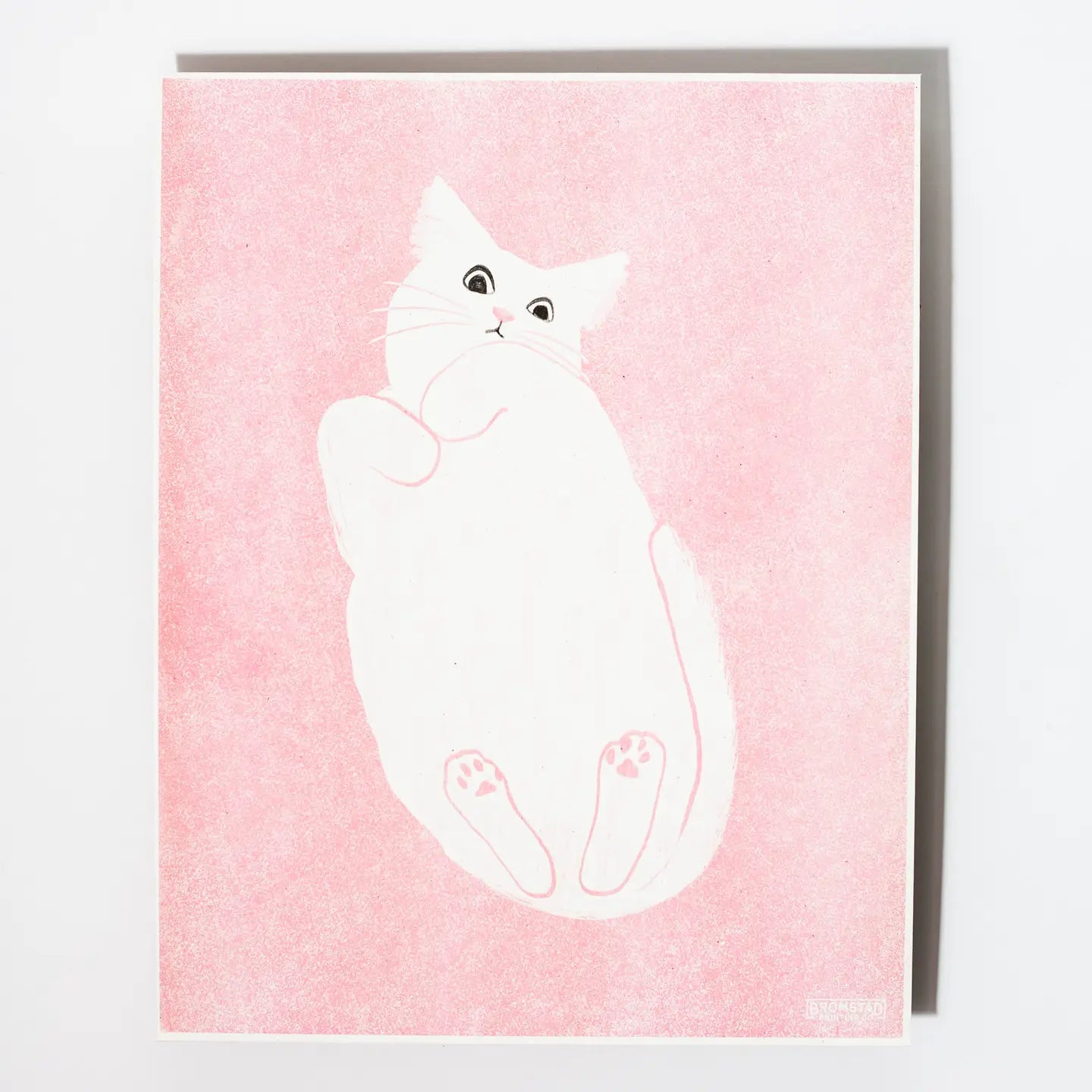 Bromstad Printing Co. - Risograph Art Print 'Cat on glass' 28x35.5cm