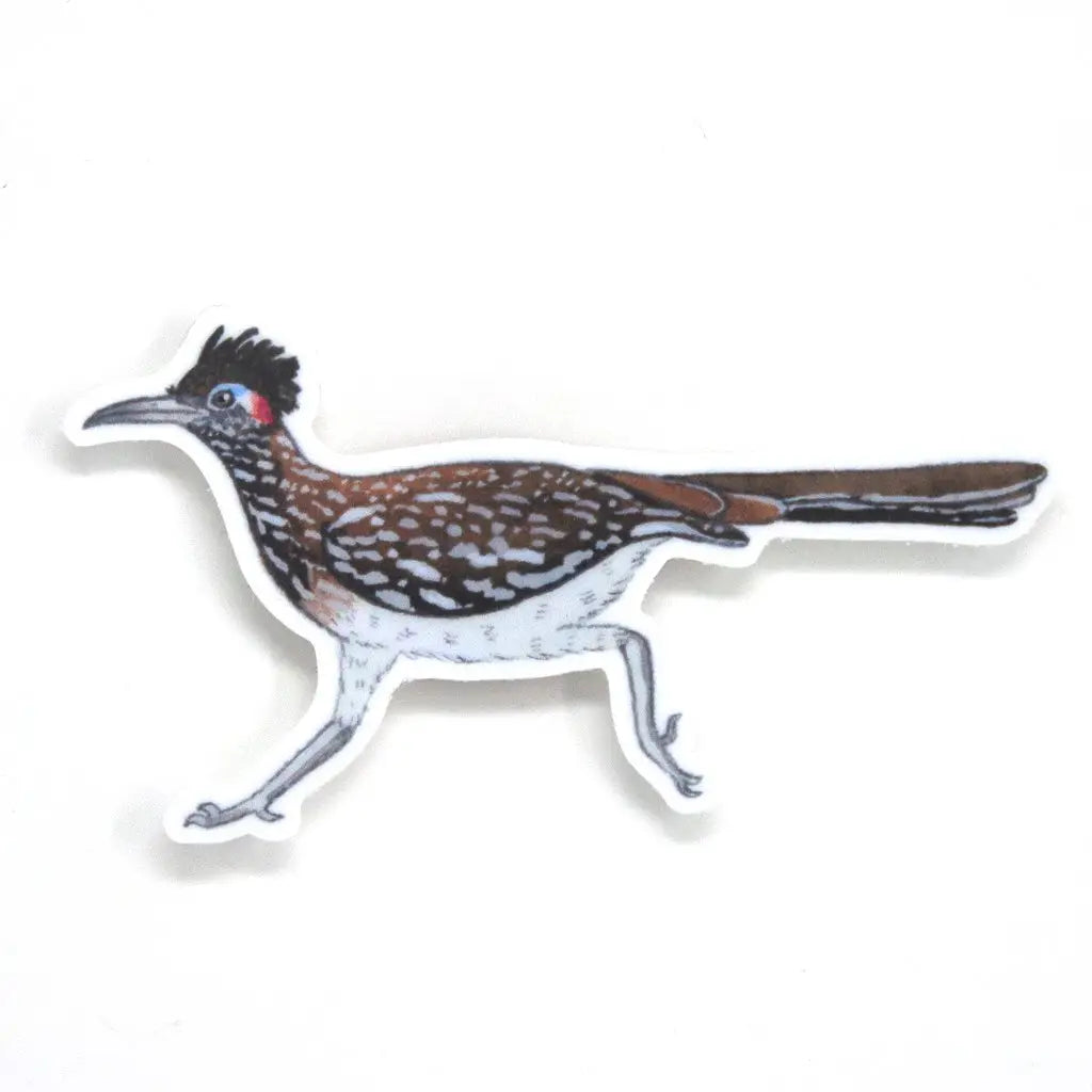 Roadrunner - Aufkleber