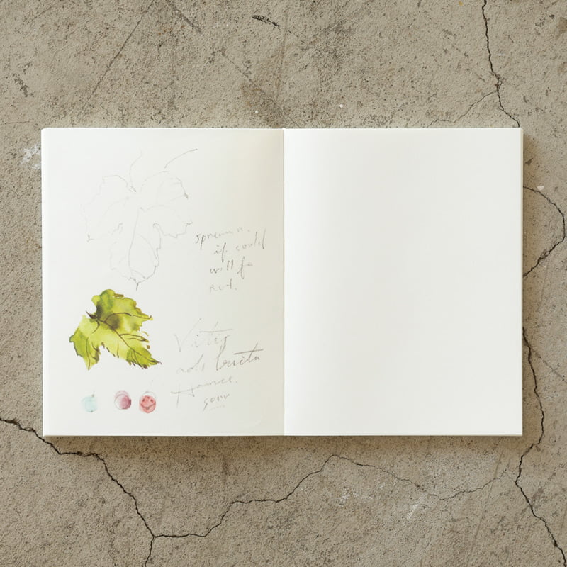 Notitieboek Midori MD - Cotton F0