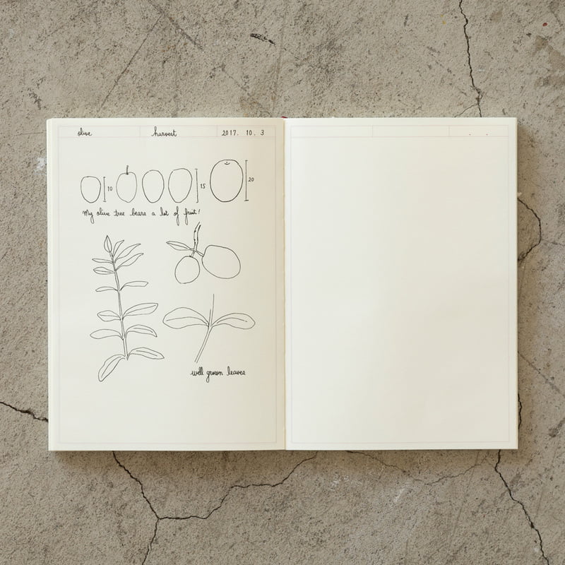 Midori MD - Paper Notebook Journal A5 Frame