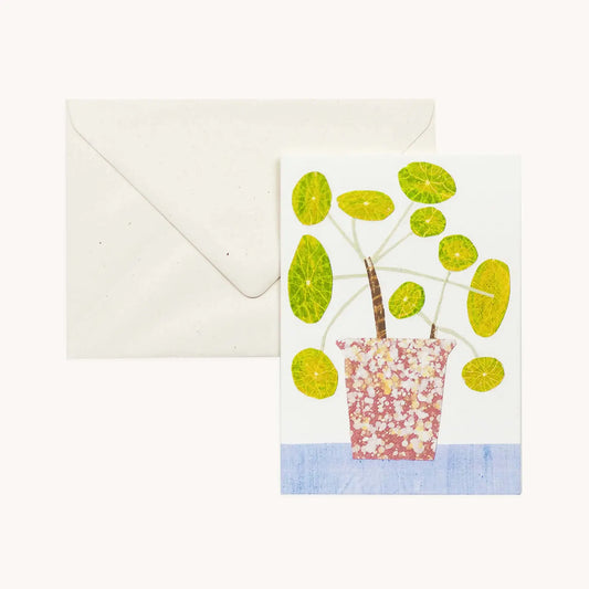 Wenskaart Pilea Peperomioides Pannekoekenplant - Hadley