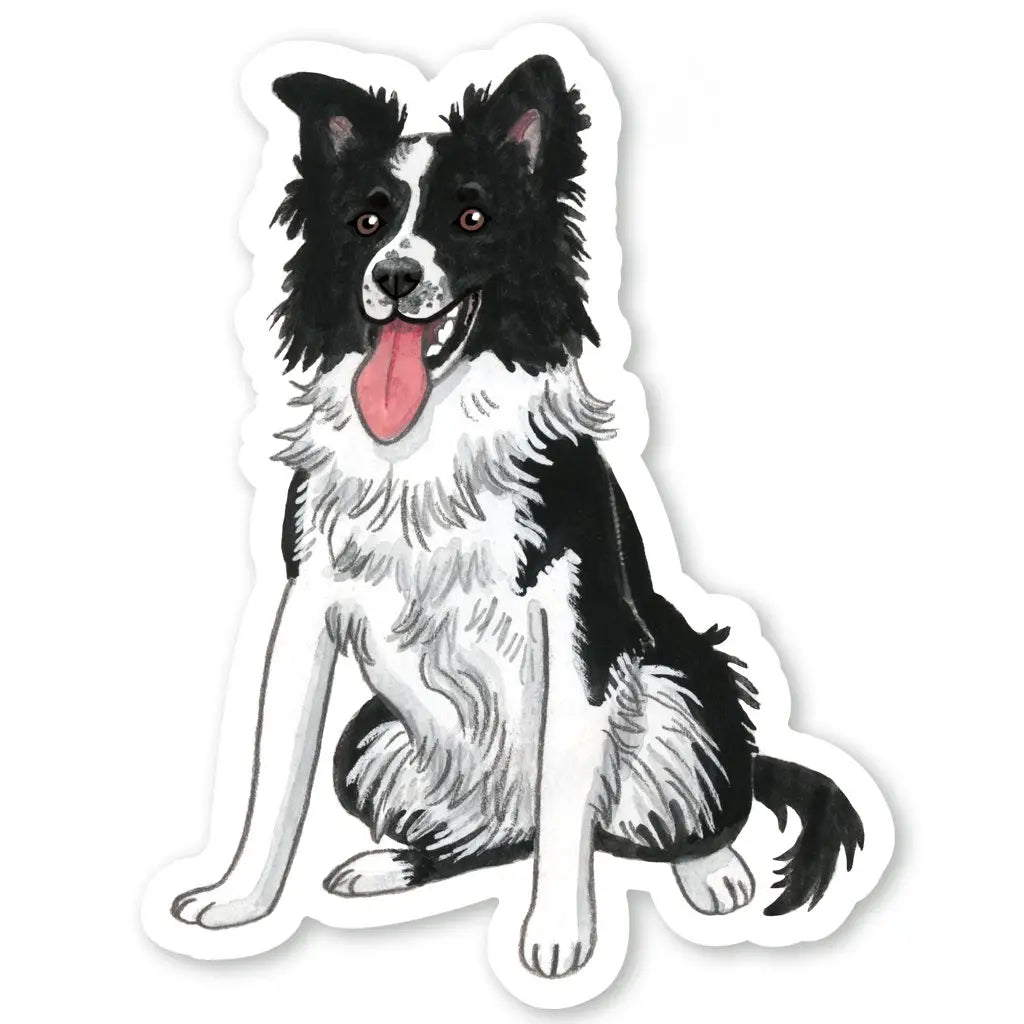 Border Collie - Sticker