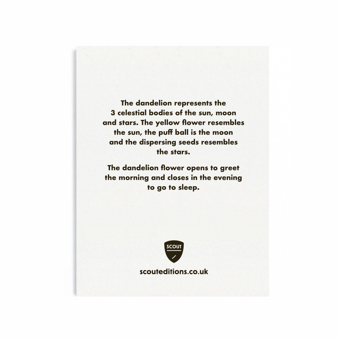 Scout Editions - Greeting Card Dandelion Mini Card