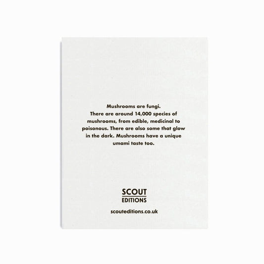 Scout Editions - Wenskaart Mushrooms Mini Card
