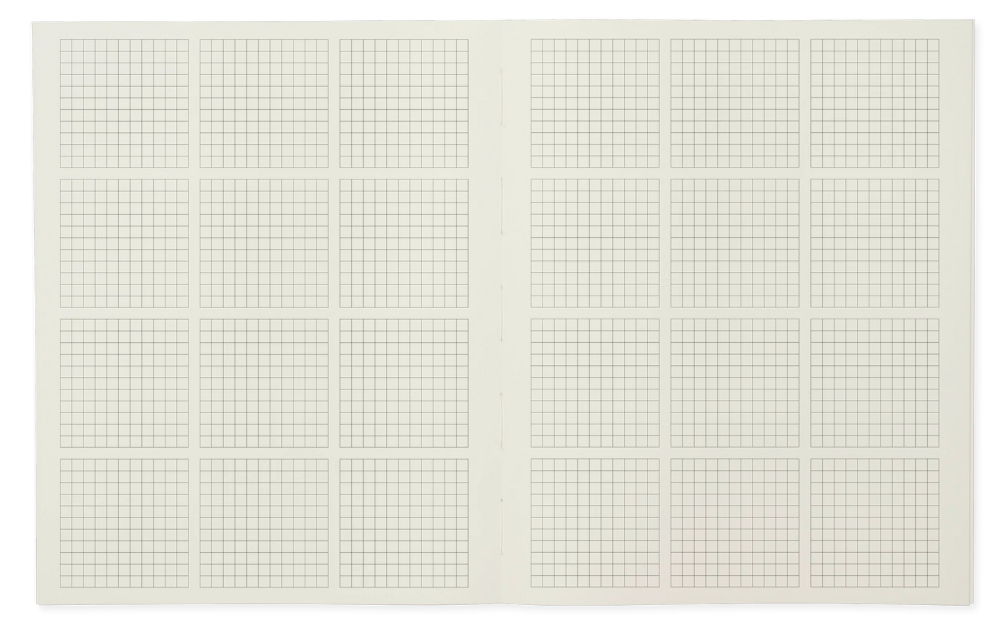 Pith Pomelo Notizbuch – Schwarz (geteiltes Raster)