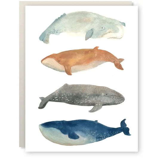 Greeting card - Whales