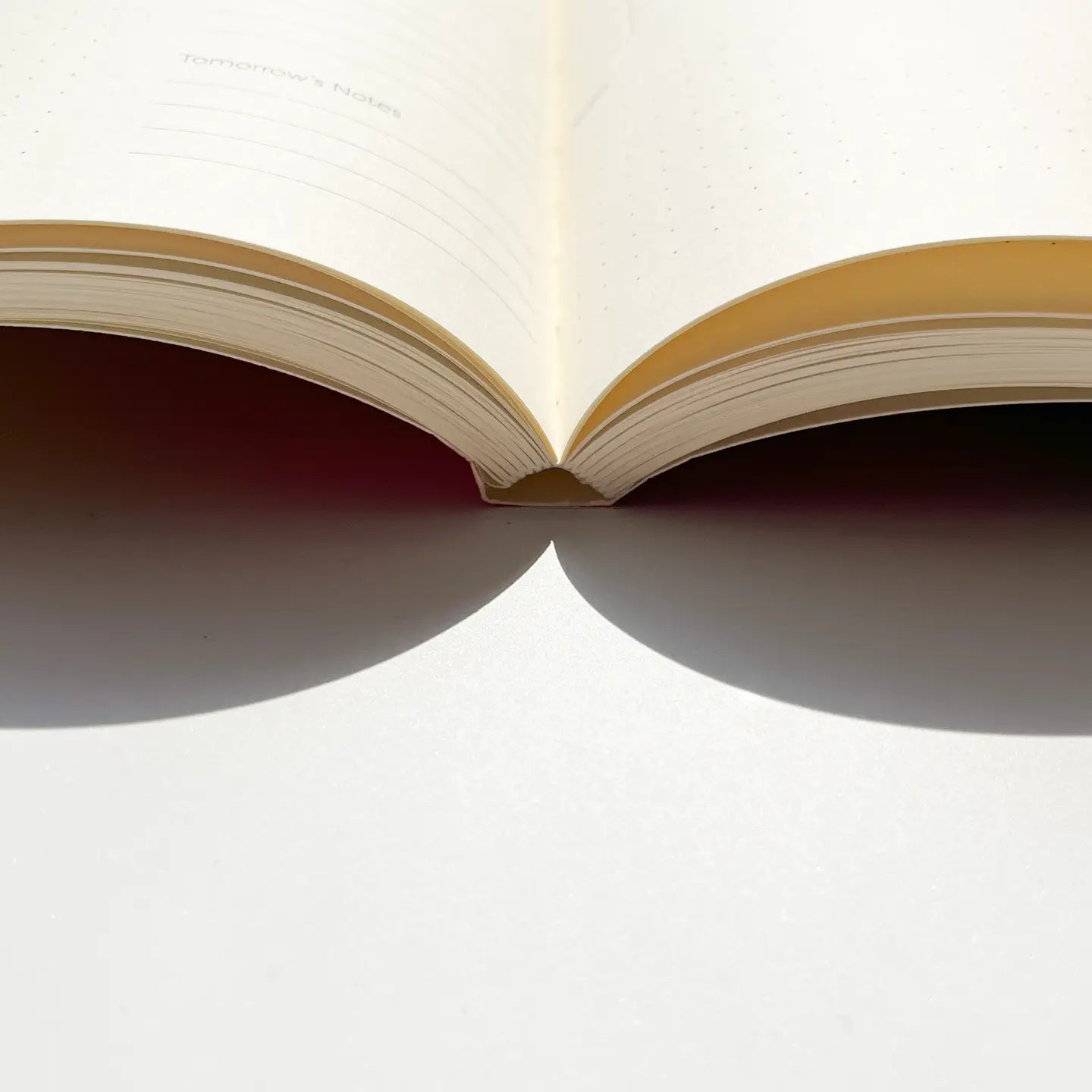 Fin Studio Undated Planner - Echoes (Daily Planner)