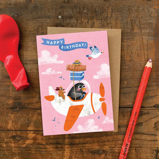 Emily Nash verjaardagskaart A6 - Pinguïn Verjaardagsvliegtuig