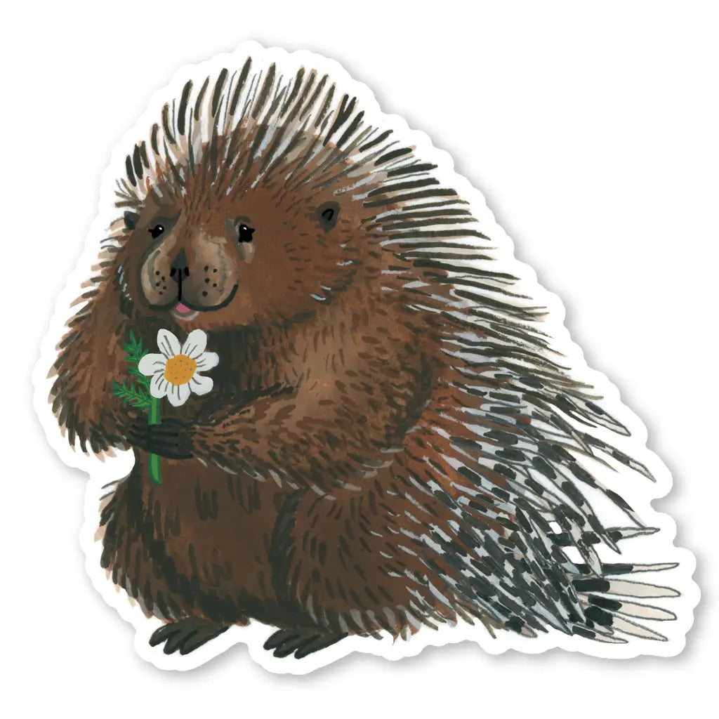 Stachelschwein - Aufkleber