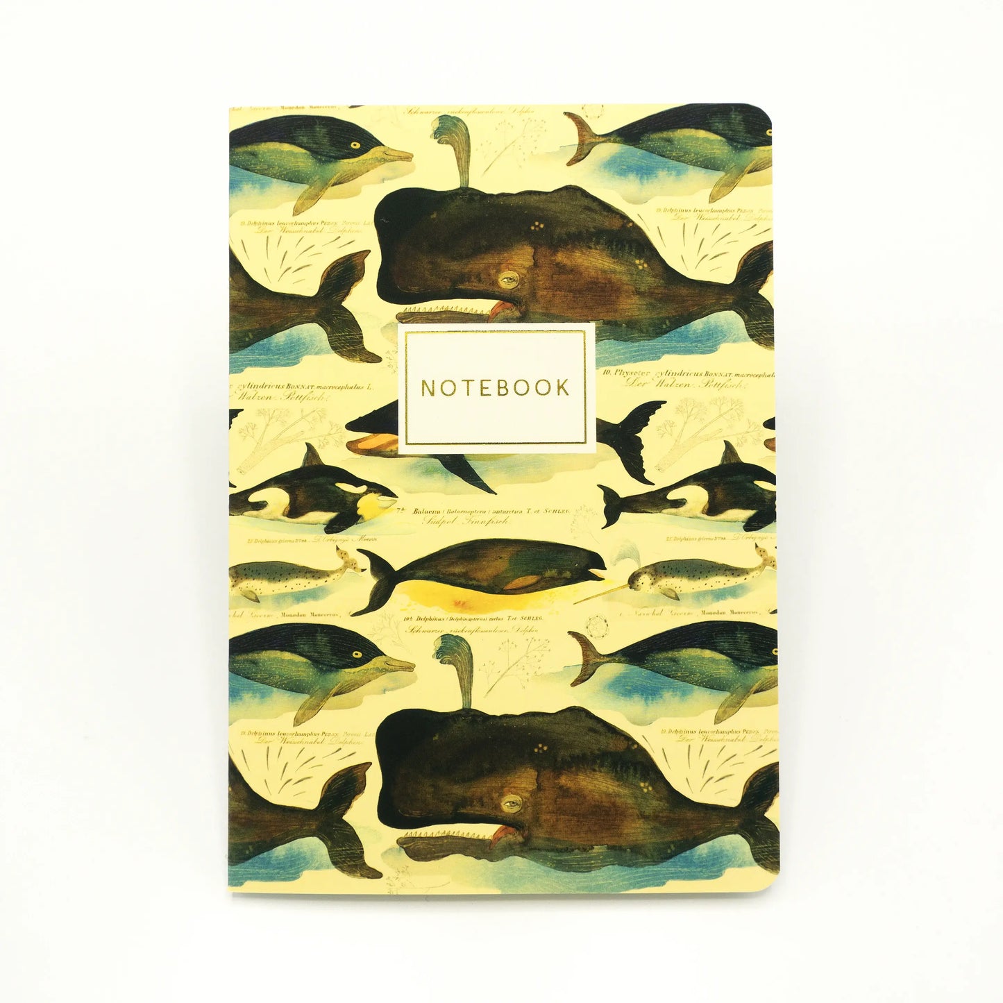 Bruno Visconti Notitieboek A5 - Walvis