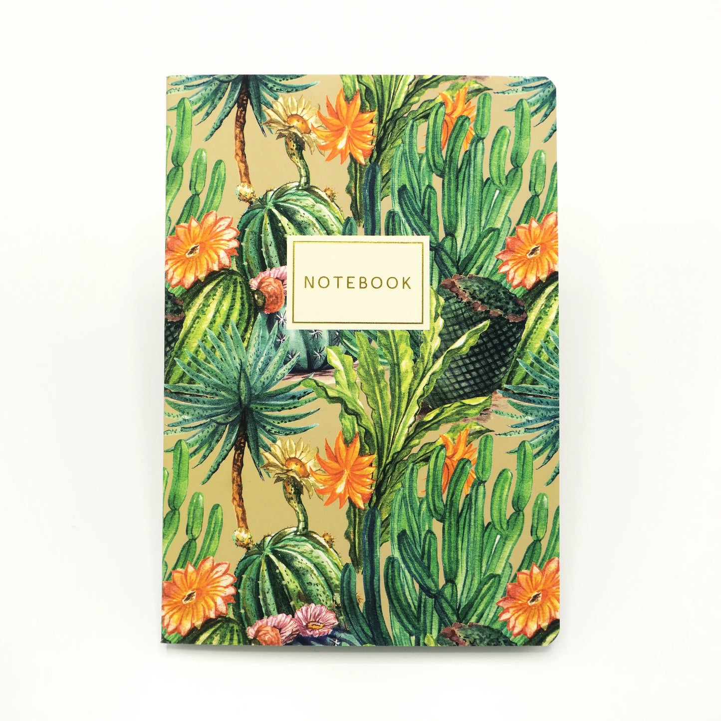 Bruno Visconti Notitieboek A5 - Cactus groen
