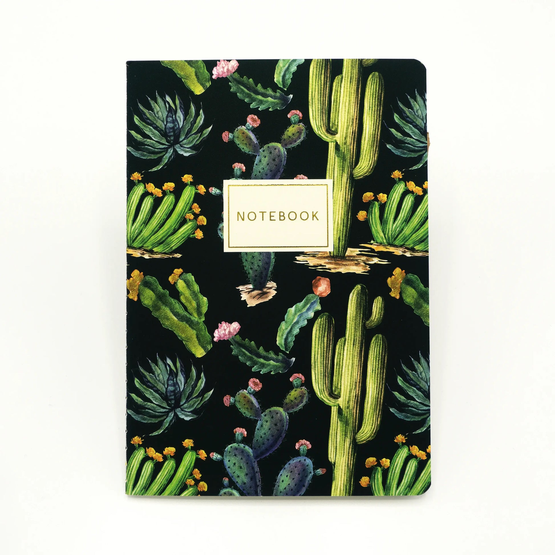 Bruno Visconti Notitieboek A5 - Cactus op zwart