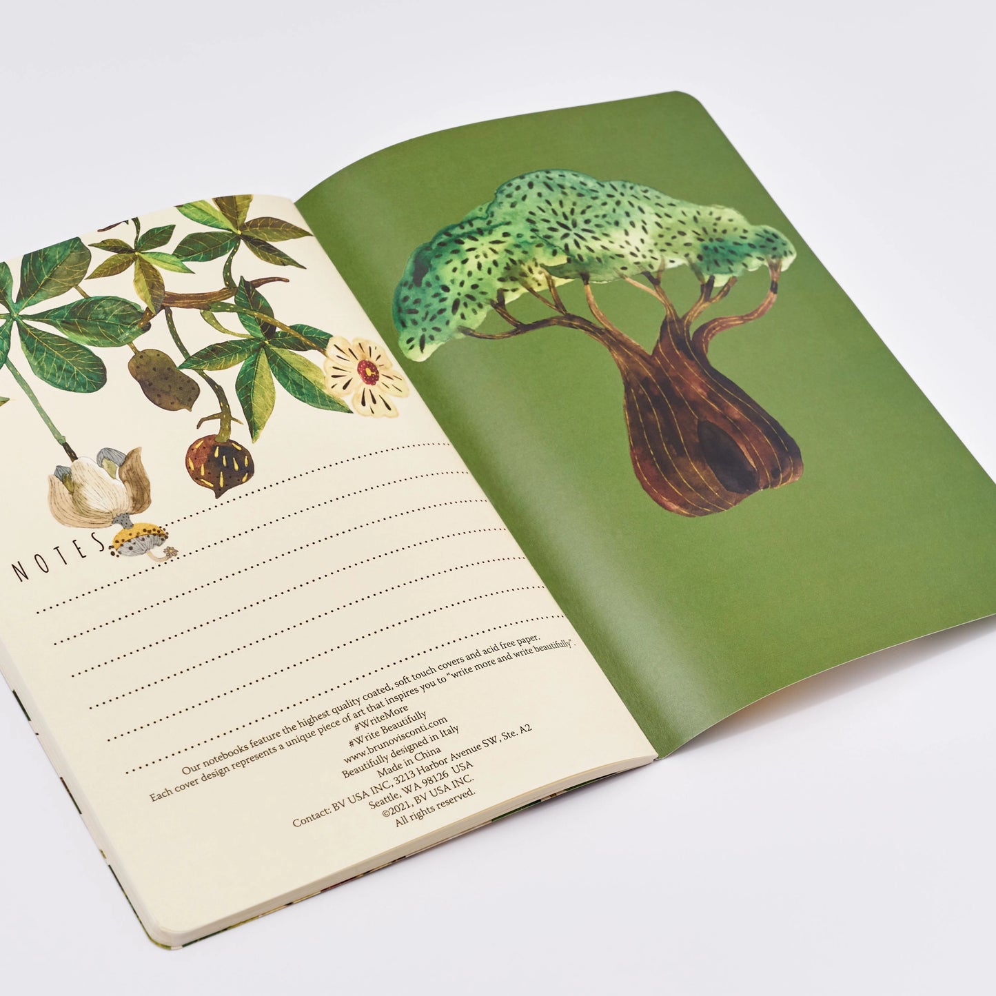 Bruno Visconti Notitieboek A5 - Baobab boom