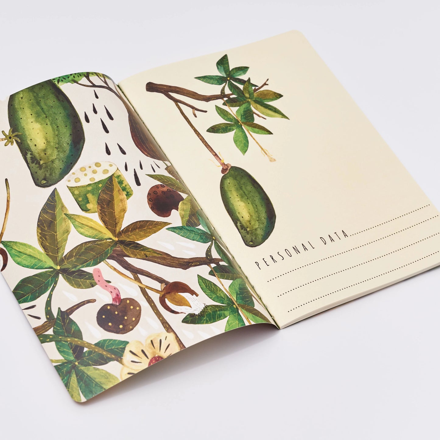 Bruno Visconti Notitieboek A5 - Baobab boom