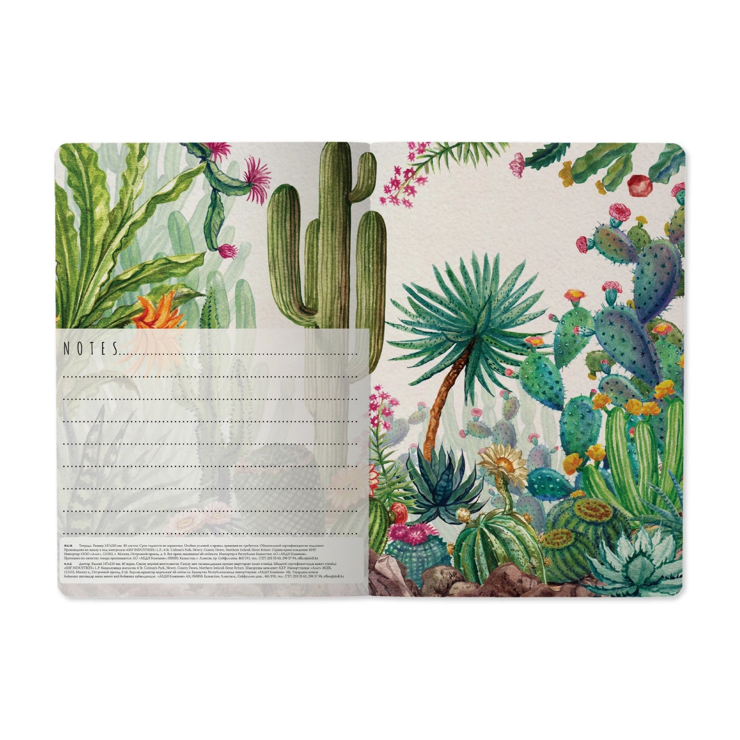 Bruno Visconti Notitieboek A5 - Cactus groen