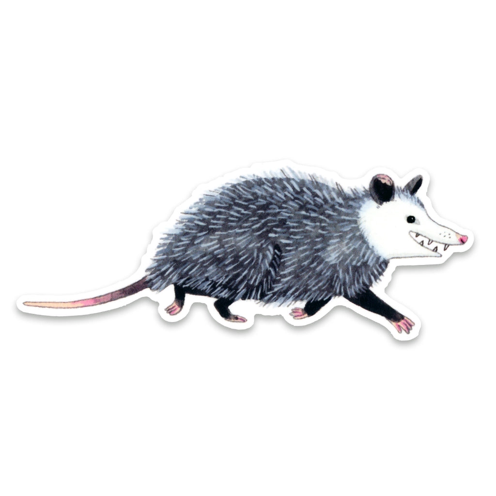 Opossum (buidelrat) - Sticker