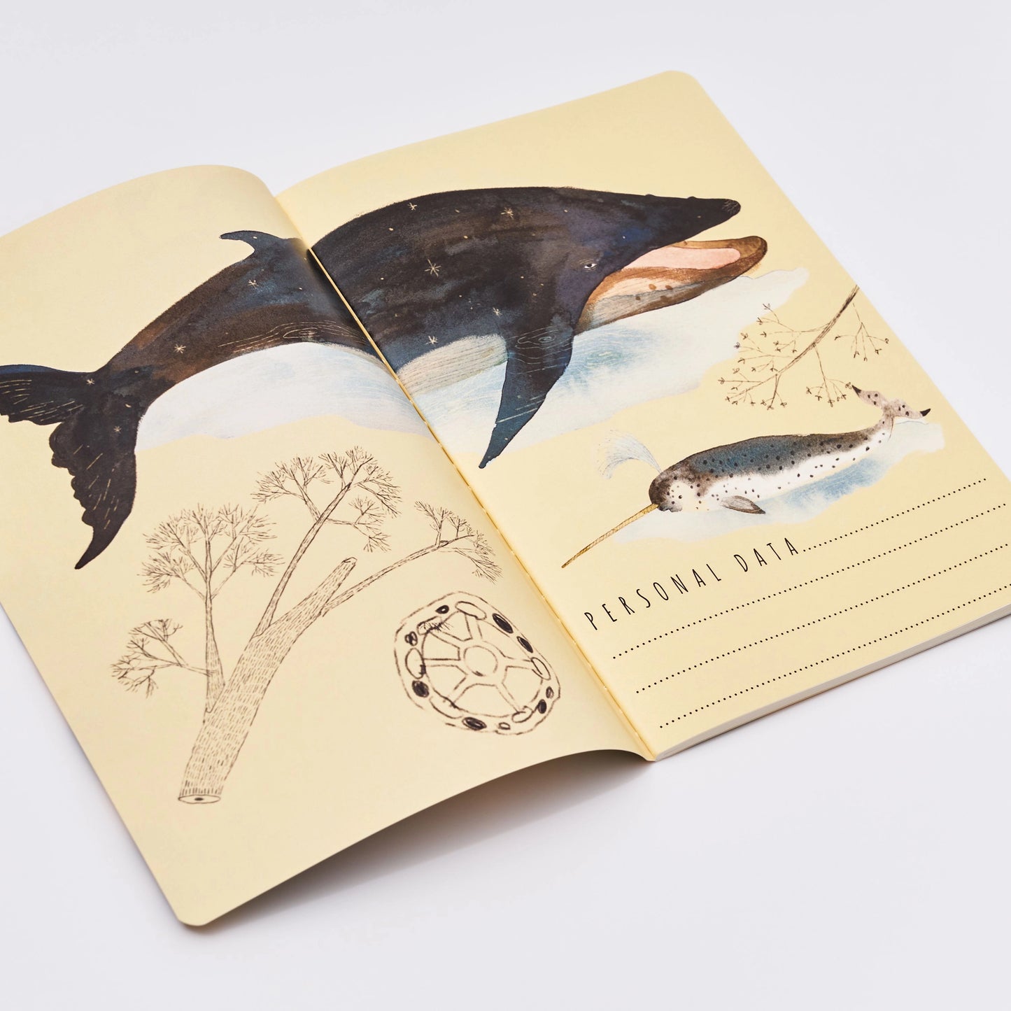 Bruno Visconti Notitieboek A5 - Walvis