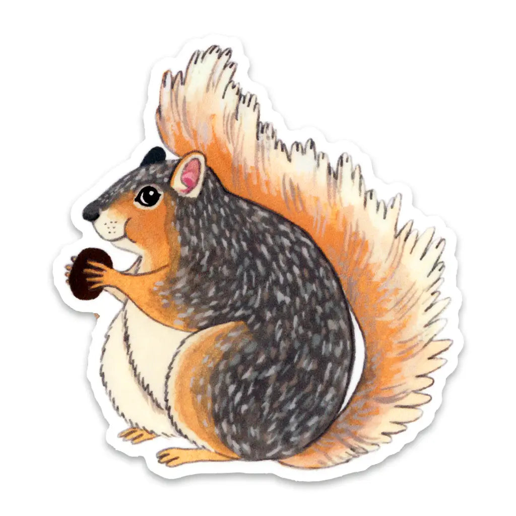 Squirrel - Sticker