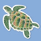 Sticker Zeeschildpad - Party Mouse Studio