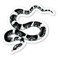 Sticker Slang - Party Mouse Studio
