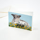 Hadley Wenskaart - Lente Lammetjes