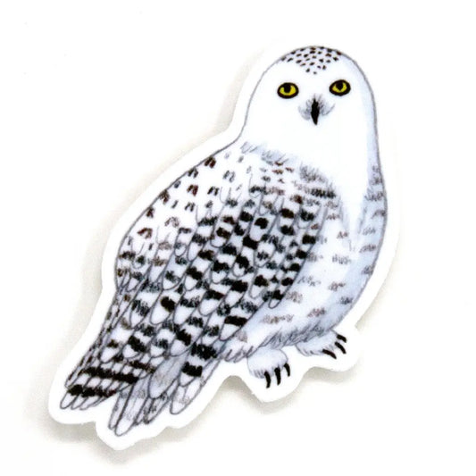 Owl - Sticker