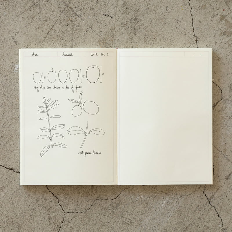 Midori MD Notebook - Journal A5 Frame