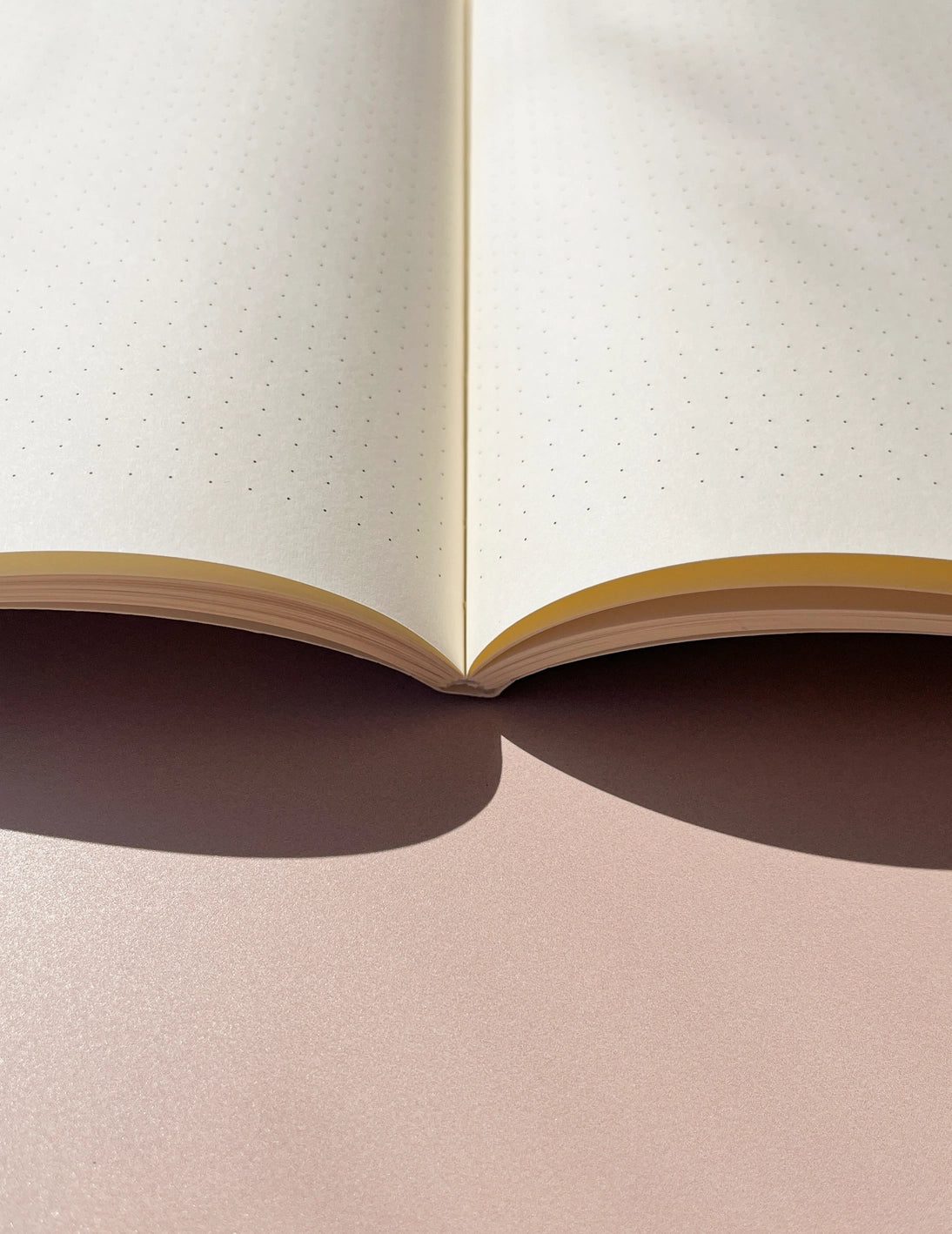 A5 Notitieboek Dotted Jane - Fin Studio