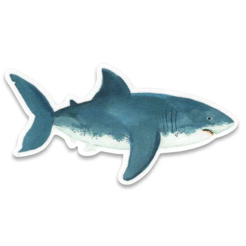 Shark - Sticker
