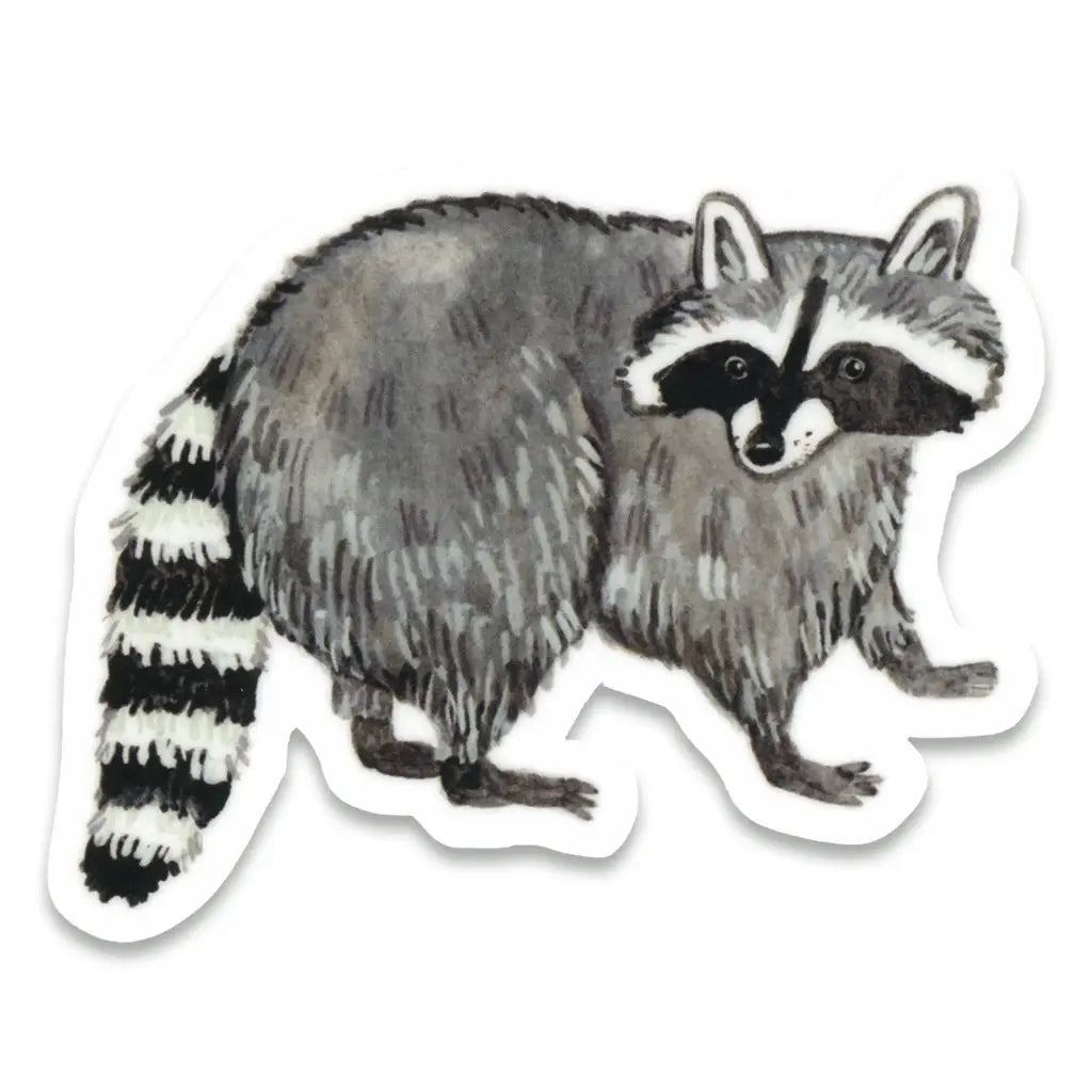 Raccoon - Sticker