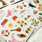 Nikki Dotti - Stickers 'Wheel of the year' (8 velletjes)