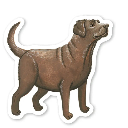 Sticker Party Mouse Studio - Chocolade Labrador