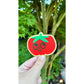 Vinyl sticker Tomaat - Bloemkolie