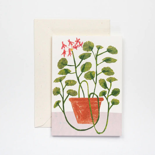 Hadley Wenskaart - Geurgeranium