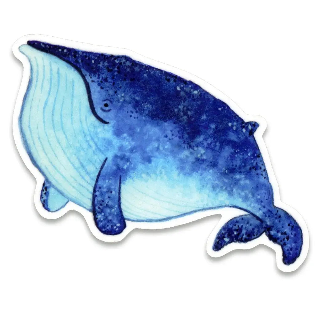Blauwe Walvis - Sticker