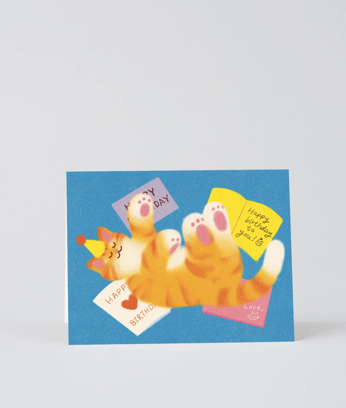 Verjaardagskaart Cat Mail - Wrap