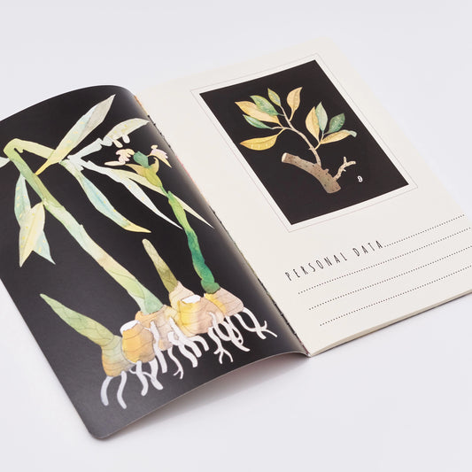 Bruno Visconti Notitieboek A5 - Botanery