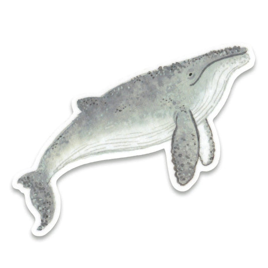 Bultrug walvis - sticker