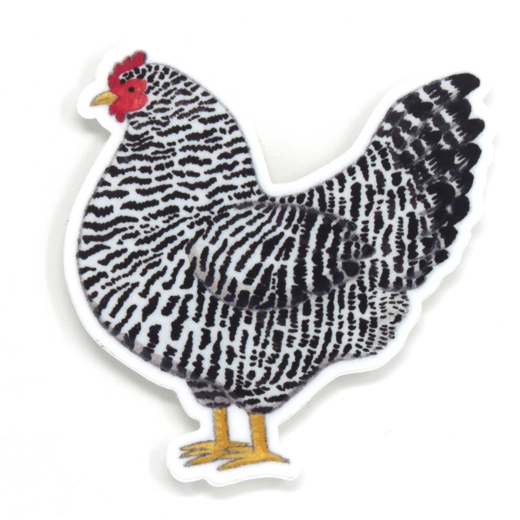 Chicken - decal