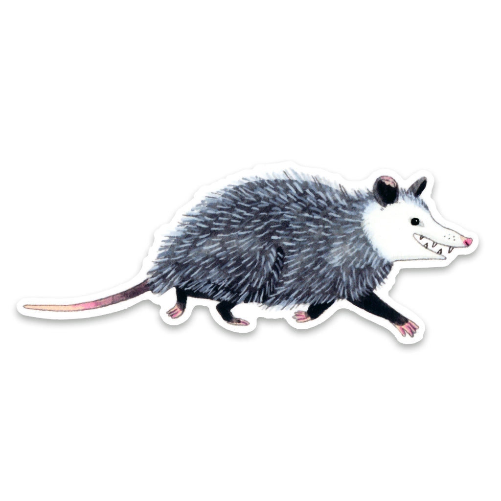 Opossum (buidelrat) - sticker