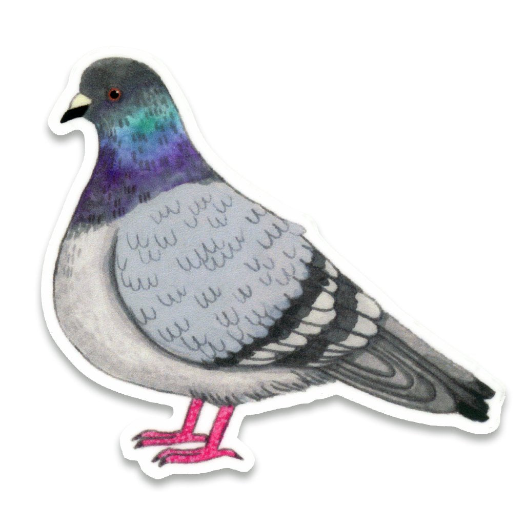 Pigeon - decal