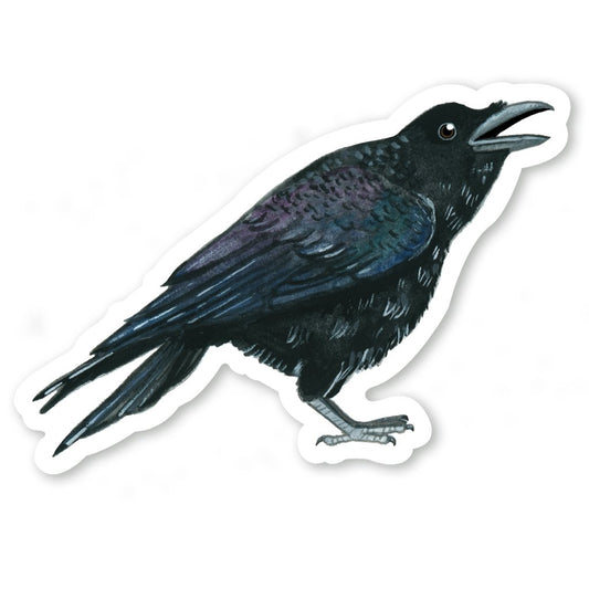 Raven - Sticker